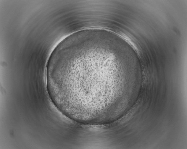 X0000090601084200708071137