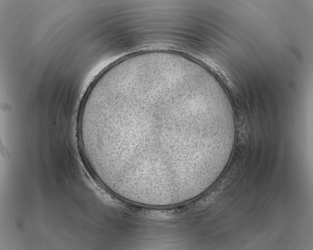 X0000090601086200708071137