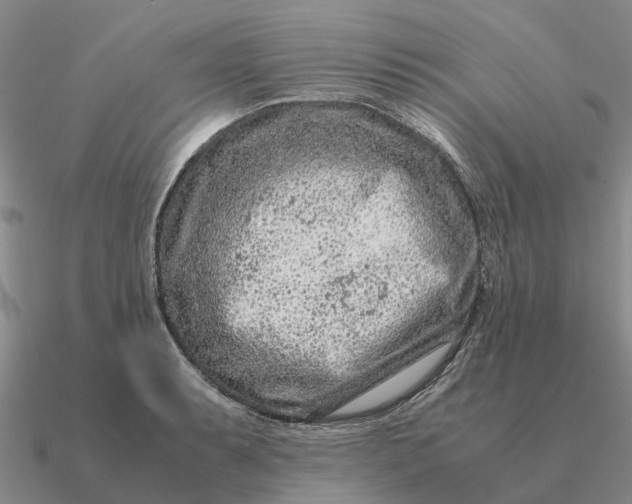 X0000090601087200708071137