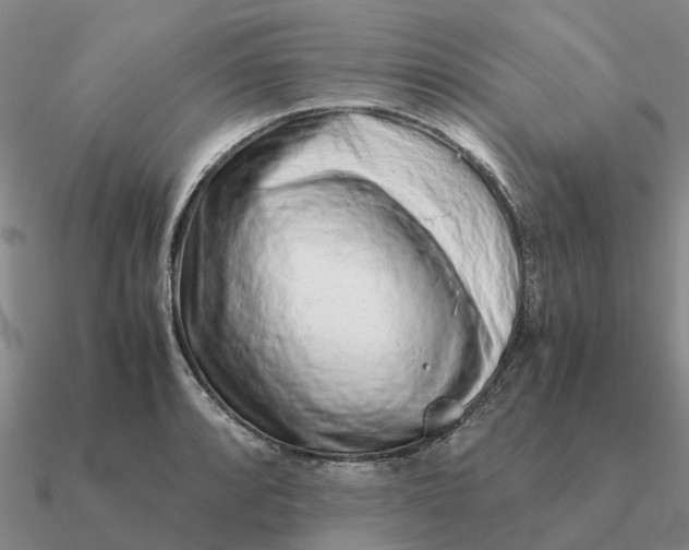 X0000090601088200708071137