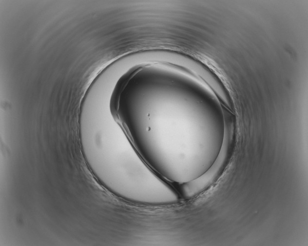 X0000090601089200708071137