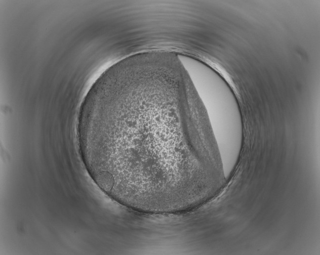 X0000090601091200708071137