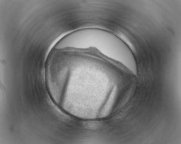 X0000090601092200708071137