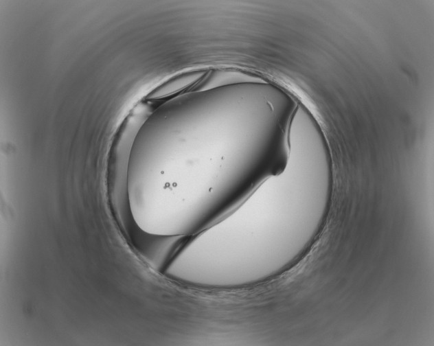 X0000090601093200708071137