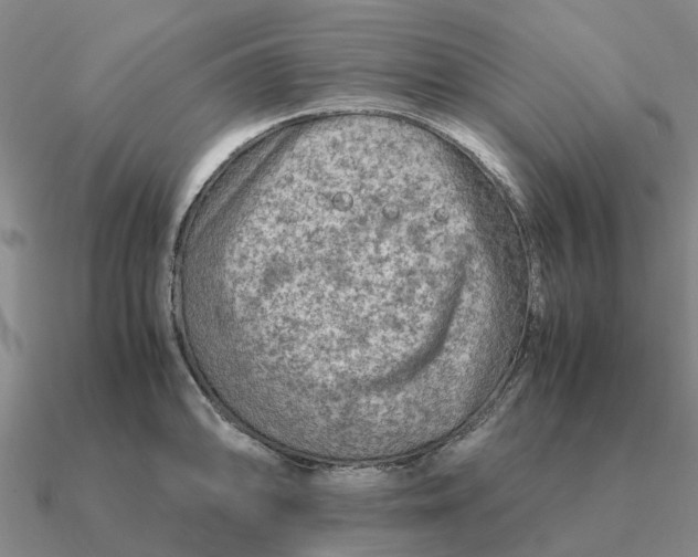 X0000090601094200708071137