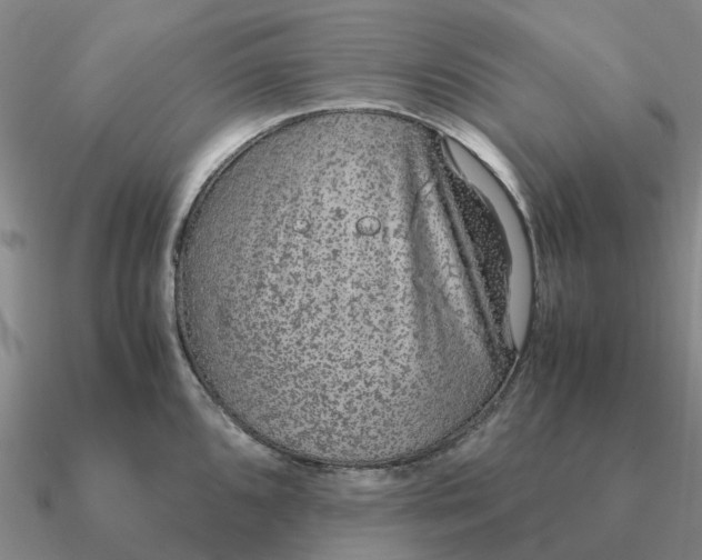 X0000090601096200708071137