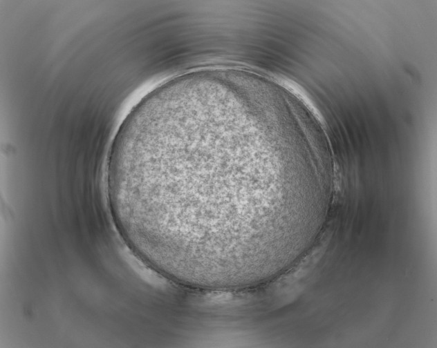 X0000090601098200708071137