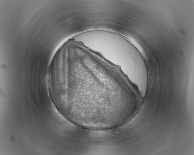 X0000090601100200708071137