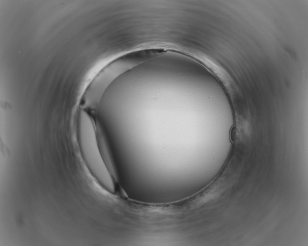 X0000090601102200708071137