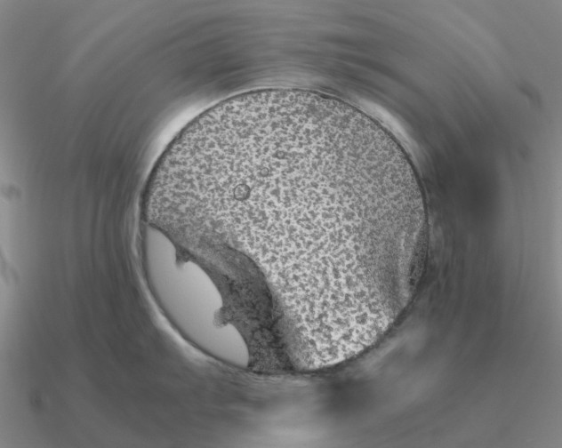 X0000090601103200708071137