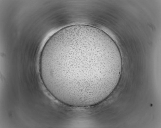 X0000090601104200708071137