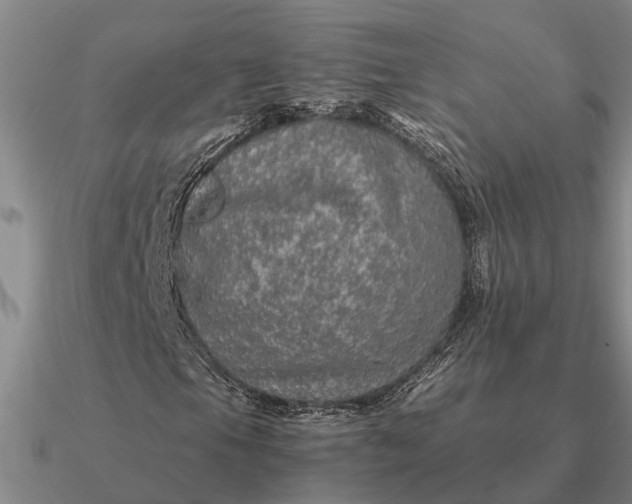 X0000090601105200708071136