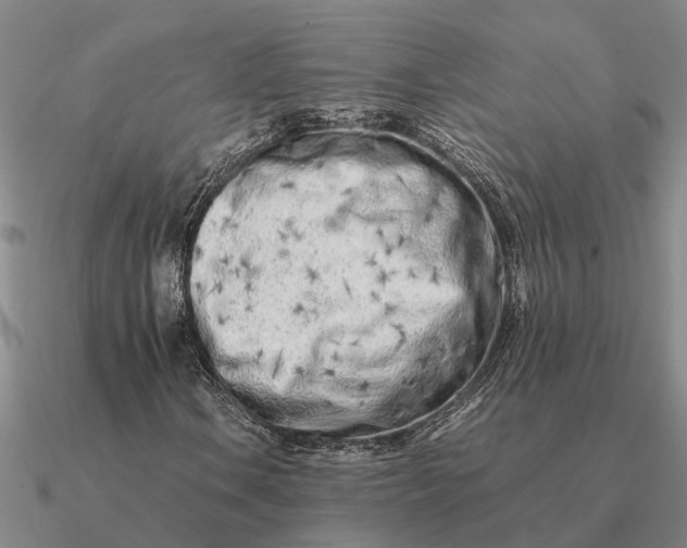 X0000090601106200708071136