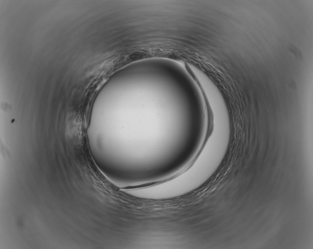 X0000090601108200708071136