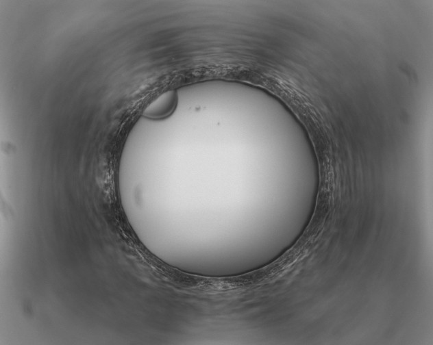 X0000090601109200708071136