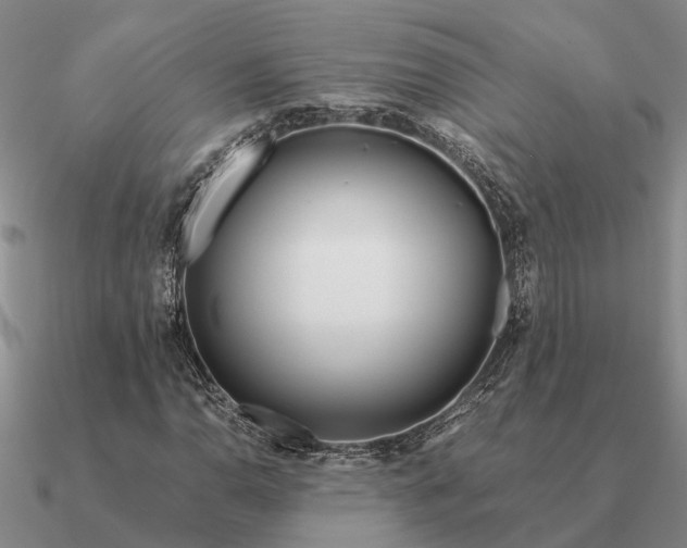 X0000090601110200708071136