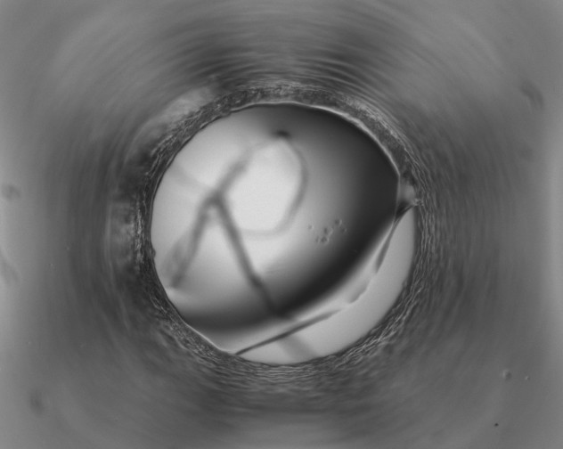 X0000090601111200708071136