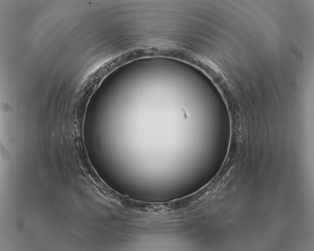 X0000090601112200708071136