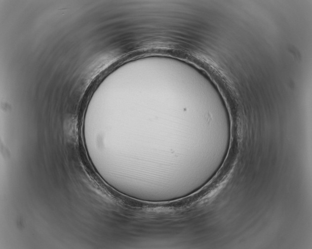 X0000090601113200708071137