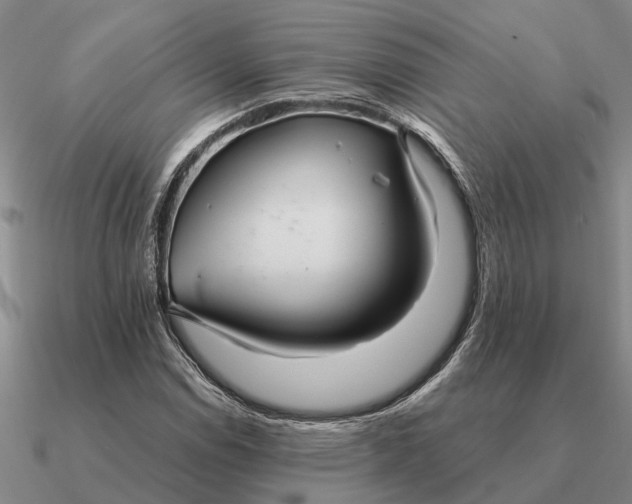 X0000090601114200708071137