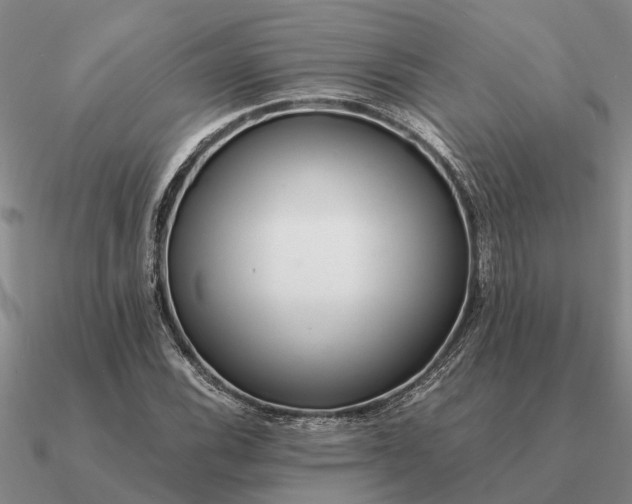 X0000090601116200708071137