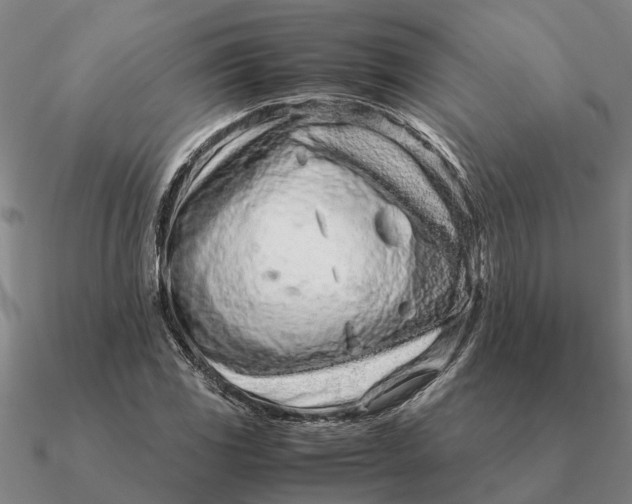 X0000090601117200708071137