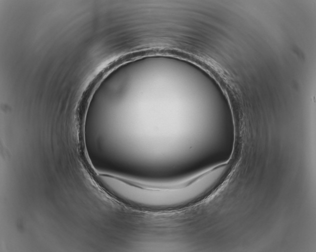 X0000090601118200708071137