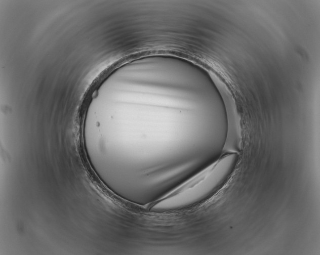 X0000090601119200708071137