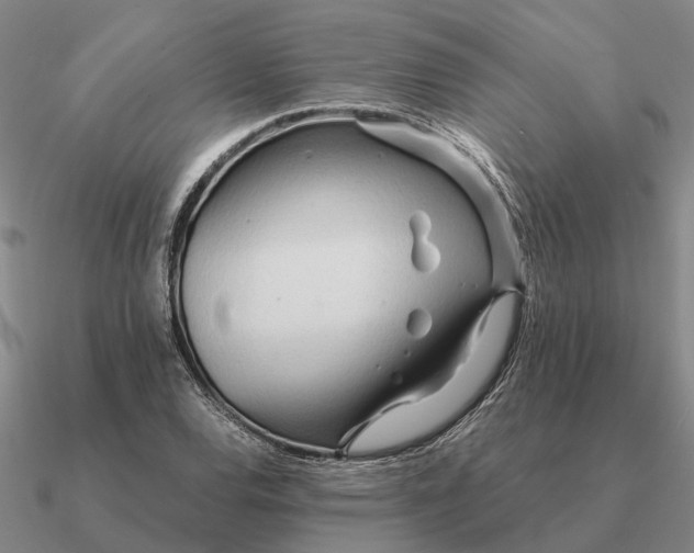 X0000090601120200708071137