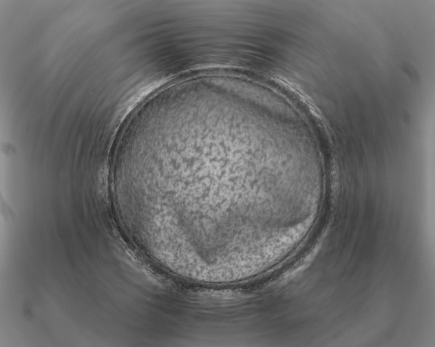 X0000090601121200708071137