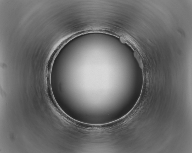 X0000090601124200708071137