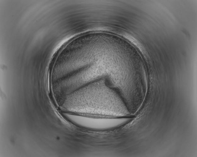 X0000090601127200708071137