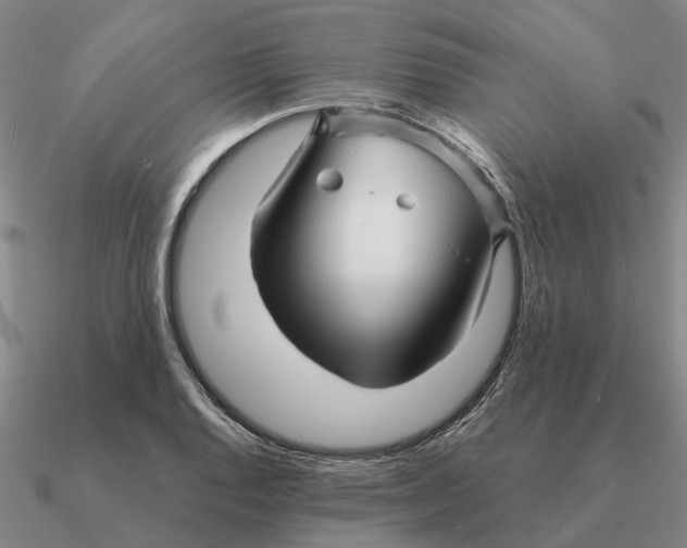 X0000090601128200708071137