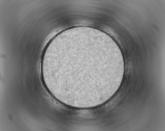 X0000090601130200708071137