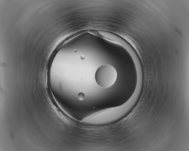 X0000090601131200708071137