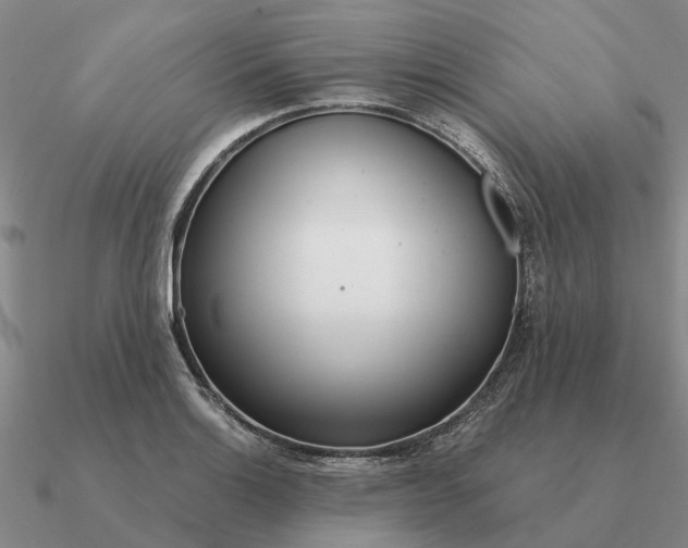 X0000090601132200708071137