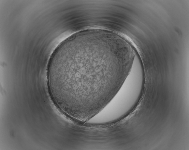 X0000090601133200708071137