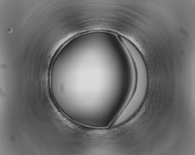 X0000090601134200708071137