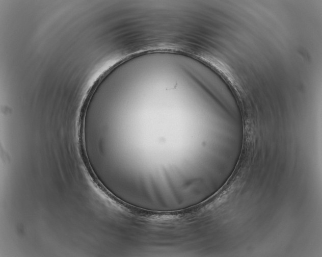 X0000090601135200708071137