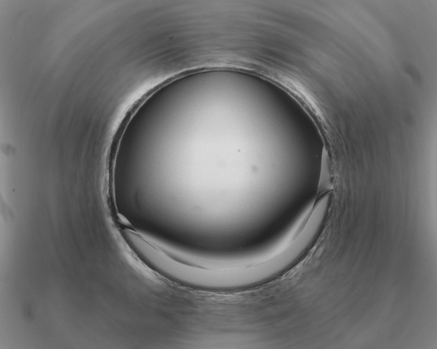 X0000090601136200708071137