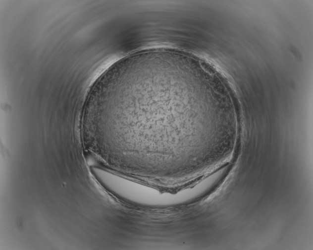 X0000090601137200708071137