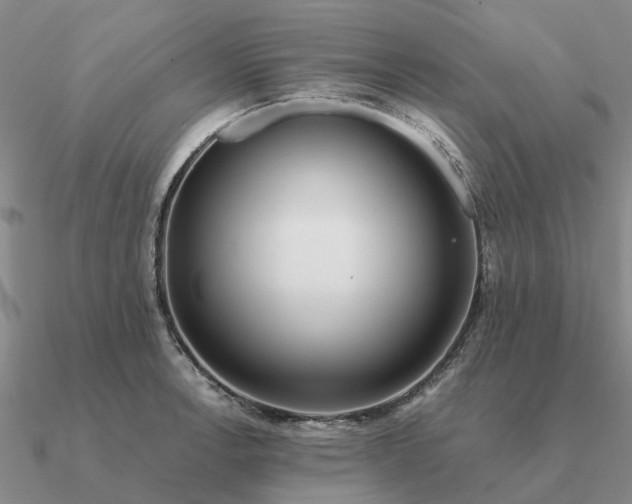 X0000090601138200708071137