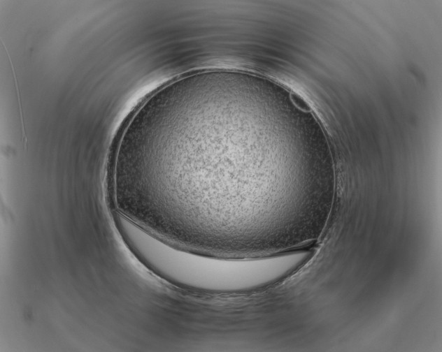 X0000090601139200708071137