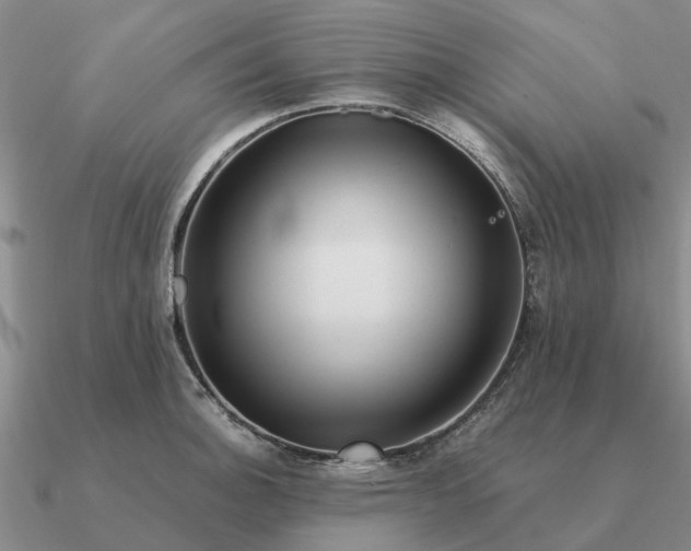 X0000090601140200708071137