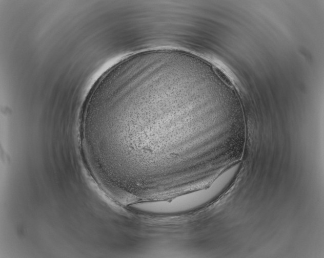 X0000090601142200708071137