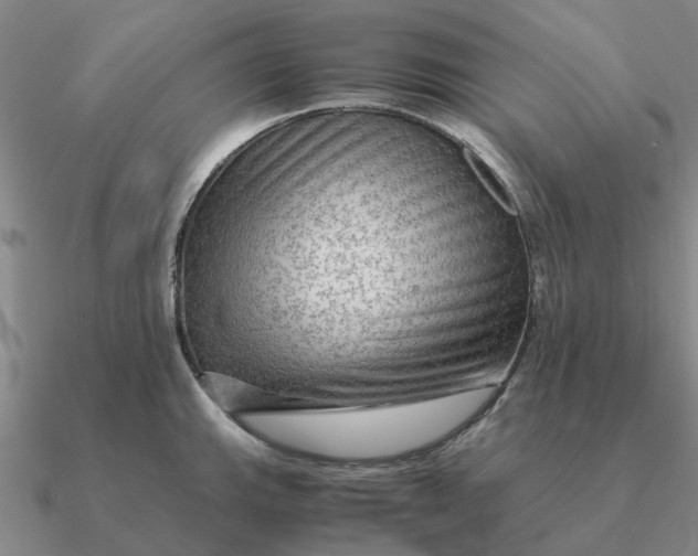 X0000090601143200708071137