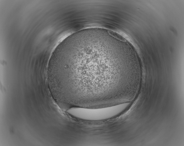 X0000090601145200708071137