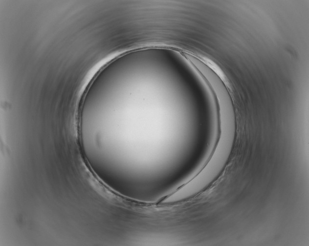 X0000090601148200708071137