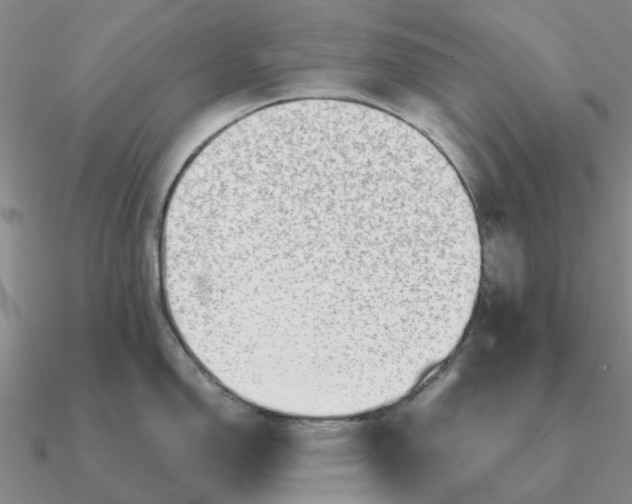 X0000090601150200708071137