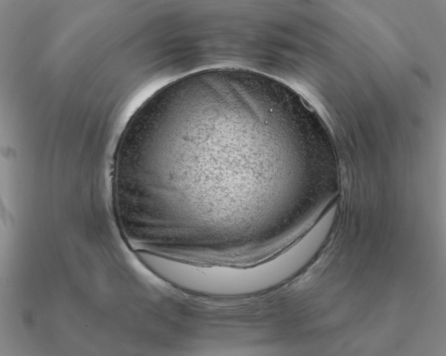 X0000090601151200708071137